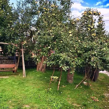 Mazurski Dom Gałkowo